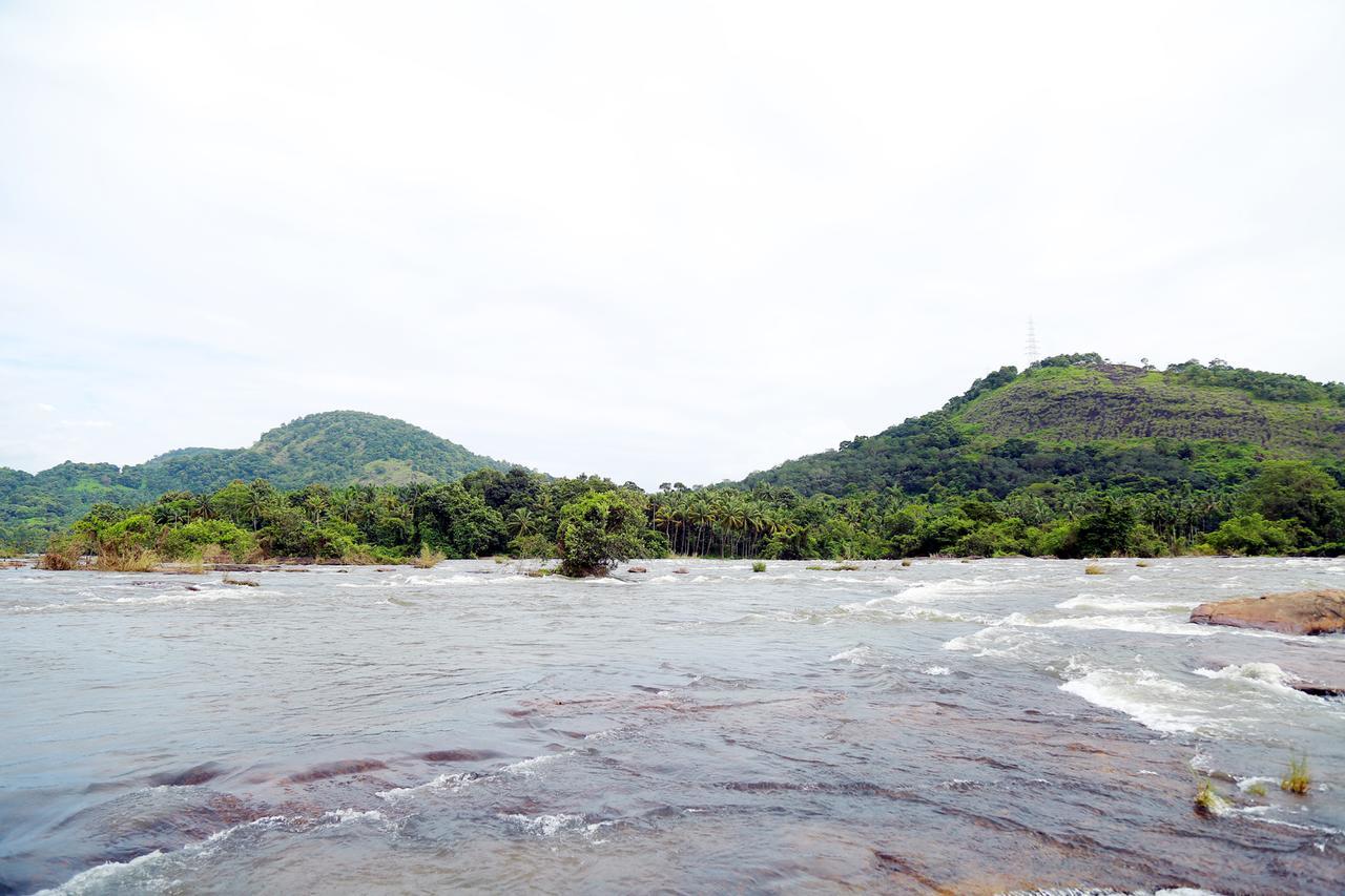 Athirapilly River Resort Athirappilly Buitenkant foto